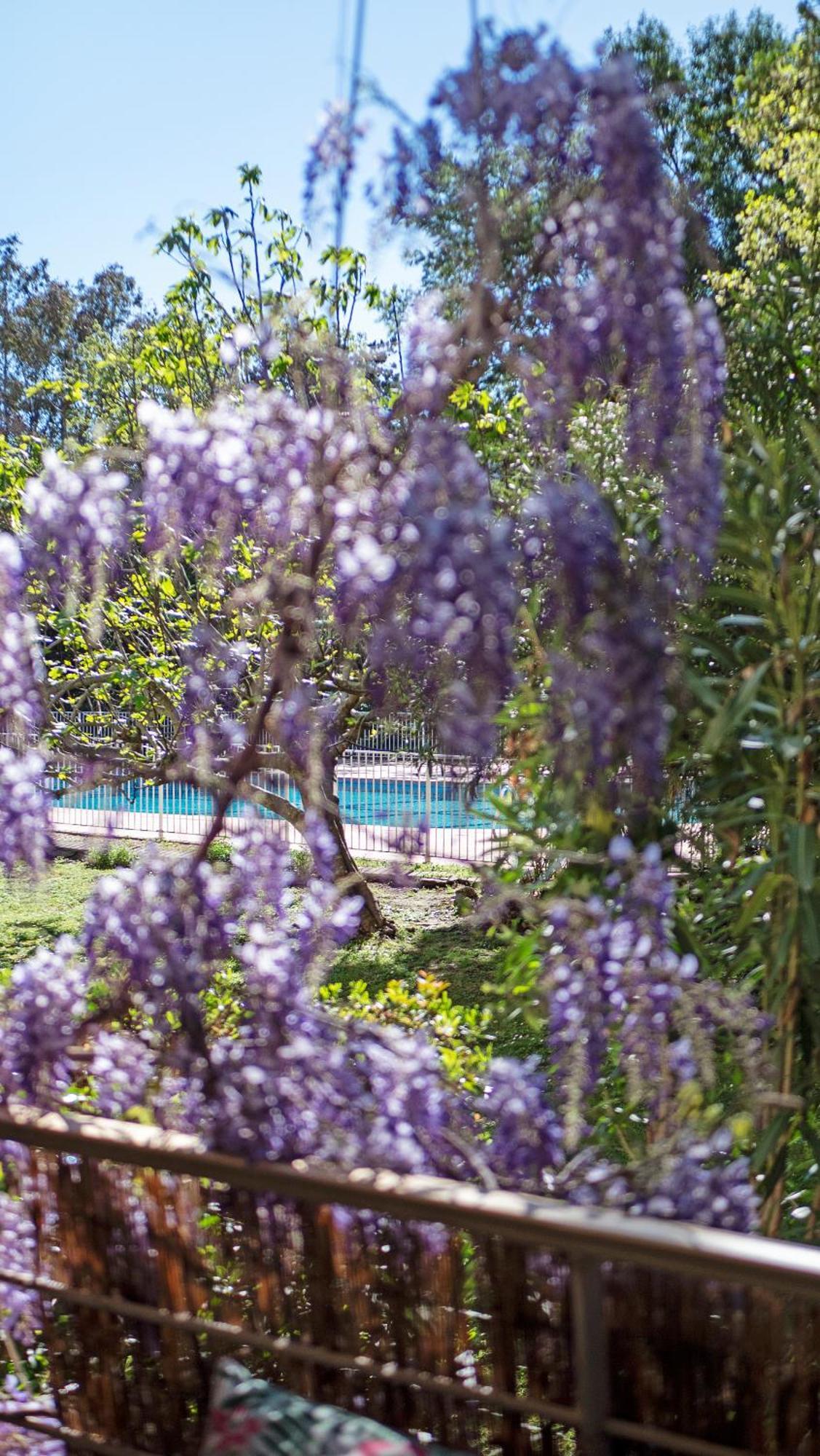 쎙뜨호뻬 Casa Laura -Parking - Pool 아파트 외부 사진